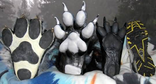 Comparitive sizes of hindpaws